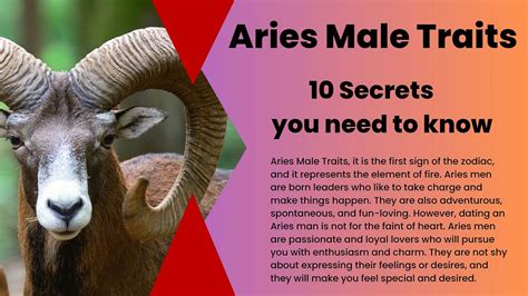 aries hombre|Aries Man: Love, Personality Traits & More 